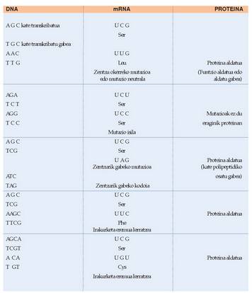 1. Taula: Aldian behingo mutazioak.<br>